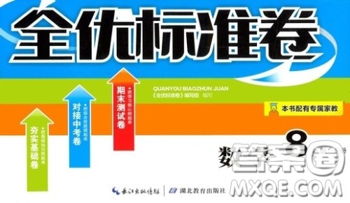 湖北教育出版社2020全优标准卷八年级数学下册答案