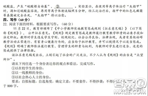 2020年安徽省江南十校综合素质检测语文试题及答案