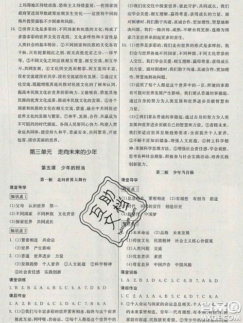 2020春名师小课堂同步精练九年级道德与法治下册人教版答案