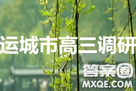 运城市2020年高三4月调研测试文科数学试题及答案 运城市2020年高三4月调研测试文科数学试题及答案