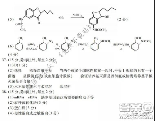 运城市2020年高三4月调研测试理科综合试题及答案 运城市2020年高三4月调研测试理科综合试题及答案