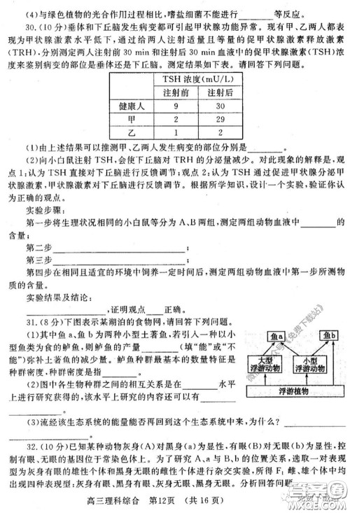 洛阳市2019-2020学年高中三年级第二次统一考试理科综合试题及答案