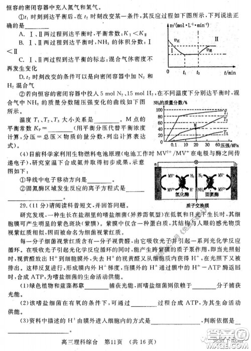 洛阳市2019-2020学年高中三年级第二次统一考试理科综合试题及答案