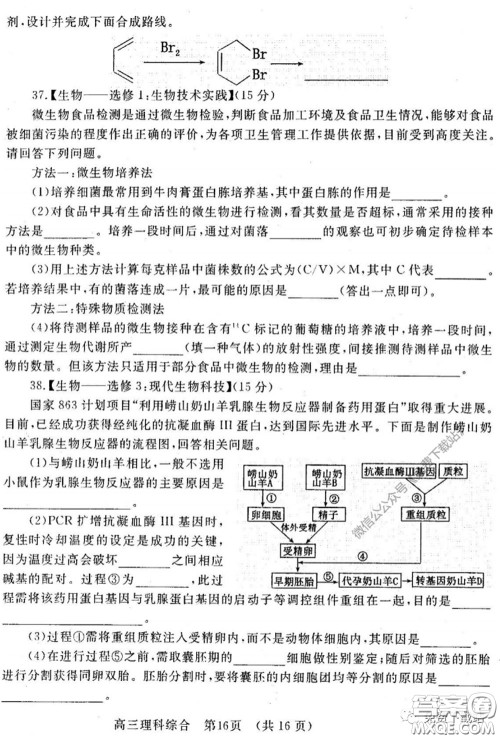 洛阳市2019-2020学年高中三年级第二次统一考试理科综合试题及答案