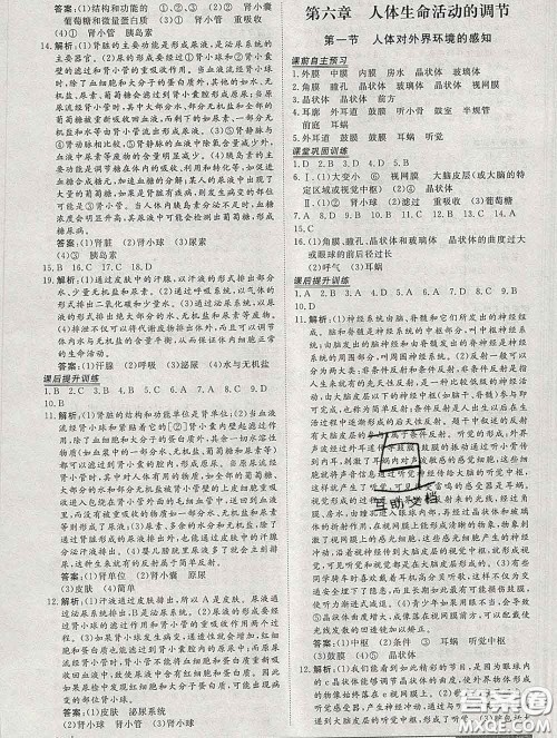 2020新版标准课堂作业七年级生物下册人教版参考答案 2020新版标准课堂作业七年级生物下册人教版参考答案