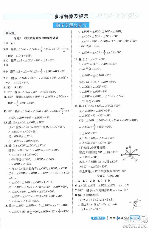 世纪英才中学奇迹课堂2020期末专题总复习七年级数学下册人教版教材答案