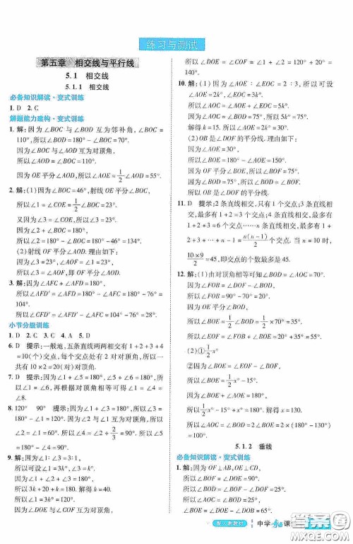 世纪英才中学奇迹课堂2020期末专题总复习七年级数学下册人教版教材答案