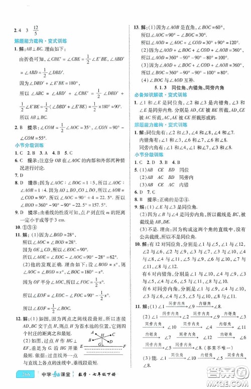 世纪英才中学奇迹课堂2020期末专题总复习七年级数学下册人教版教材答案 世纪英才中学奇迹课堂2020期末专题总复习七年级数学下册人教版教材答案