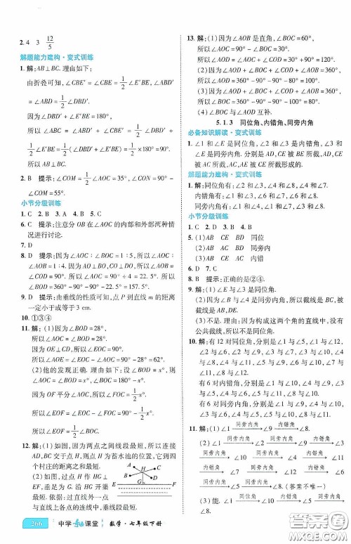 世纪英才中学奇迹课堂2020期末专题总复习七年级数学下册人教版教材答案