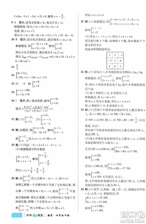 世纪英才中学奇迹课堂2020期末专题总复习七年级数学下册人教版教材答案