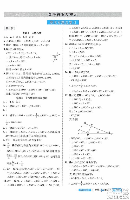 世纪英才中学奇迹课堂2020期末专题总复习七年级数学下册浙教版教材答案