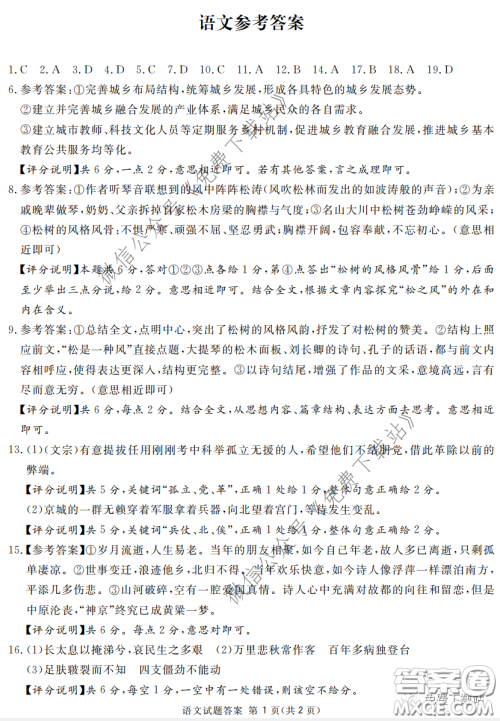 2020年四川九市联考内江广安等高三第二次模拟考试语文试题及答案 2020年四川九市联考内江广安等高三第二次模拟考试语文试题及答案