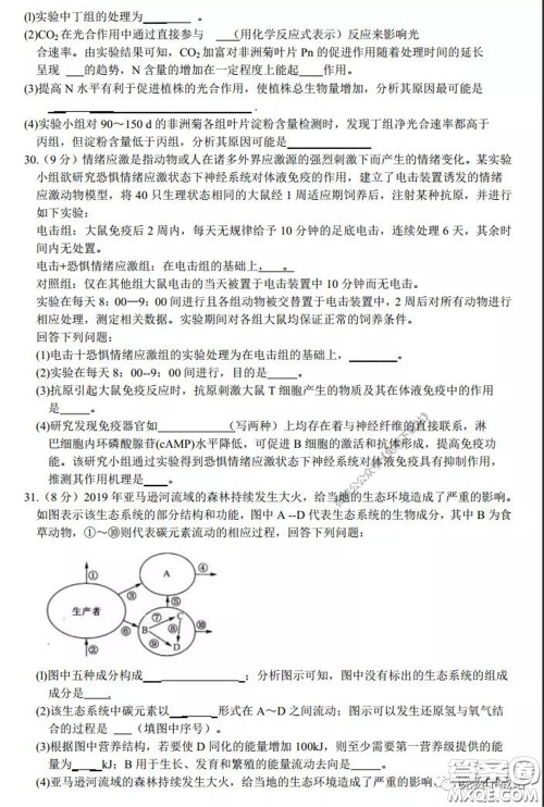 2020年安徽省江南十校综合素质检测理科综合试题及答案