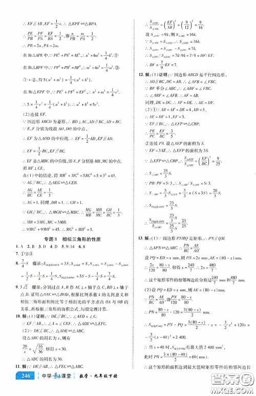 世纪英才中学奇迹课堂2020中考专题总复习九年级数学下册人教版教材答案