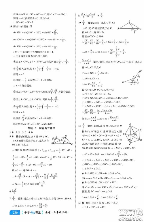 世纪英才中学奇迹课堂2020中考专题总复习九年级数学下册人教版教材答案