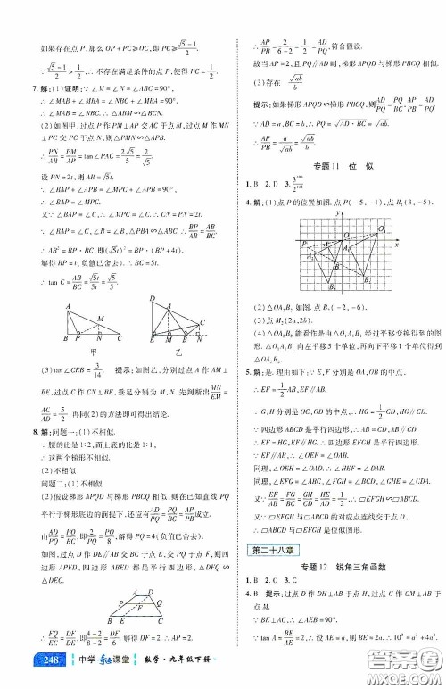 世纪英才中学奇迹课堂2020中考专题总复习九年级数学下册人教版教材答案