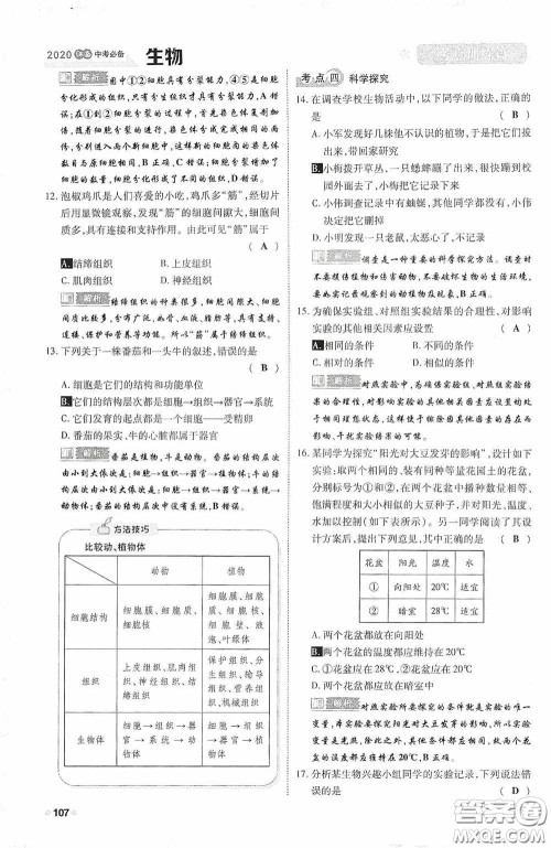 2020中考一卷通考点训练篇生物6篇训练答案