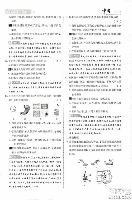 2020中考一卷通考点训练篇生物6篇训练答案