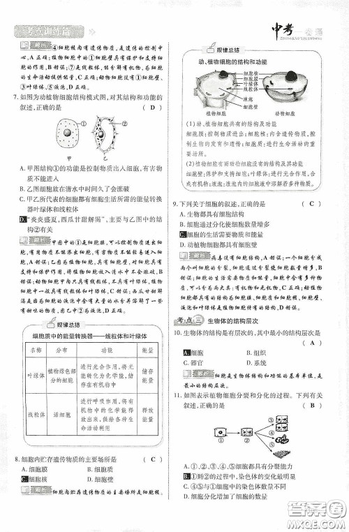 2020中考一卷通考点训练篇生物6篇训练答案