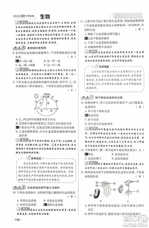 2020中考一卷通考点训练篇生物6篇训练答案