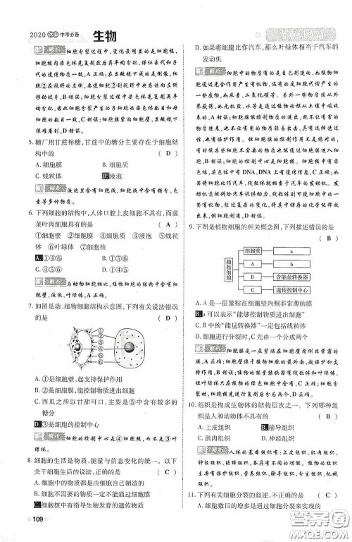 2020中考一卷通考点训练篇生物6篇训练答案