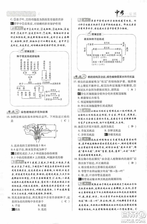 2020中考一卷通考点训练篇生物6篇训练答案