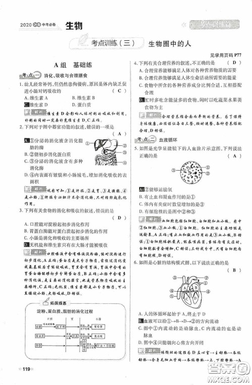 2020中考一卷通考点训练篇生物6篇训练答案