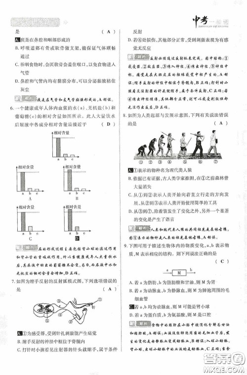 2020中考一卷通考点训练篇生物6篇训练答案