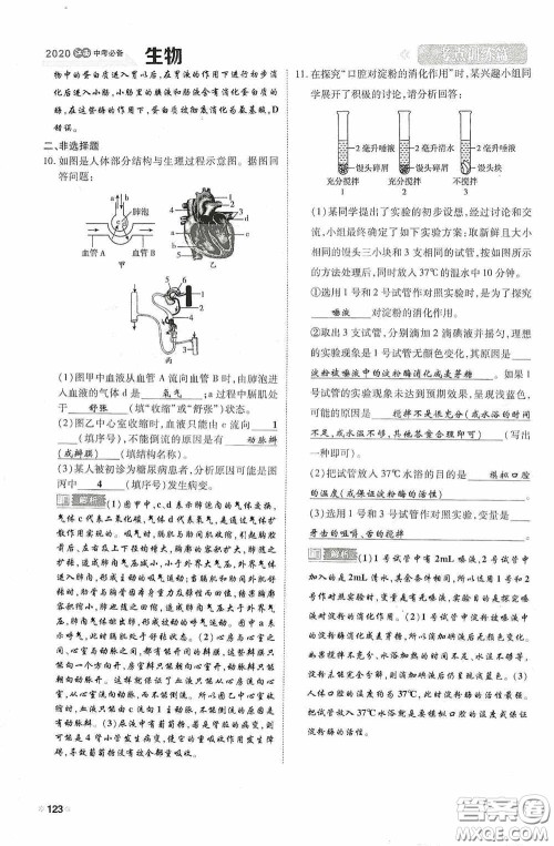 2020中考一卷通考点训练篇生物6篇训练答案