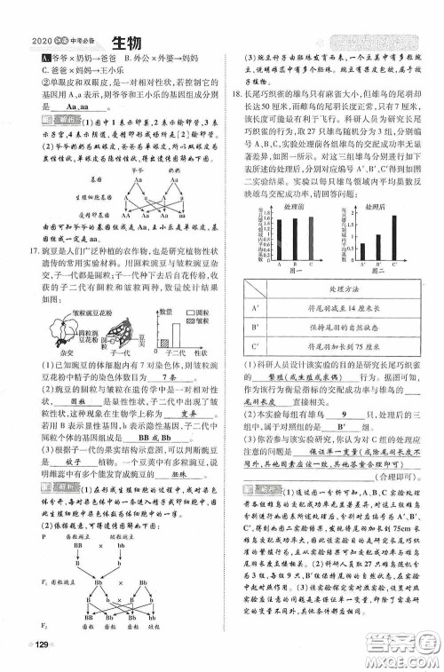 2020中考一卷通考点训练篇生物6篇训练答案