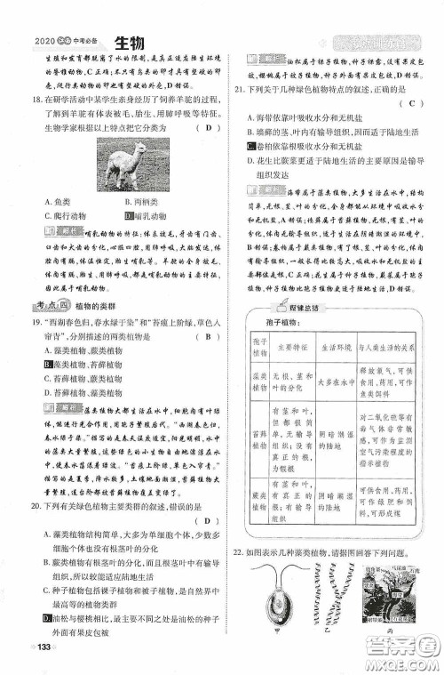 2020中考一卷通考点训练篇生物6篇训练答案