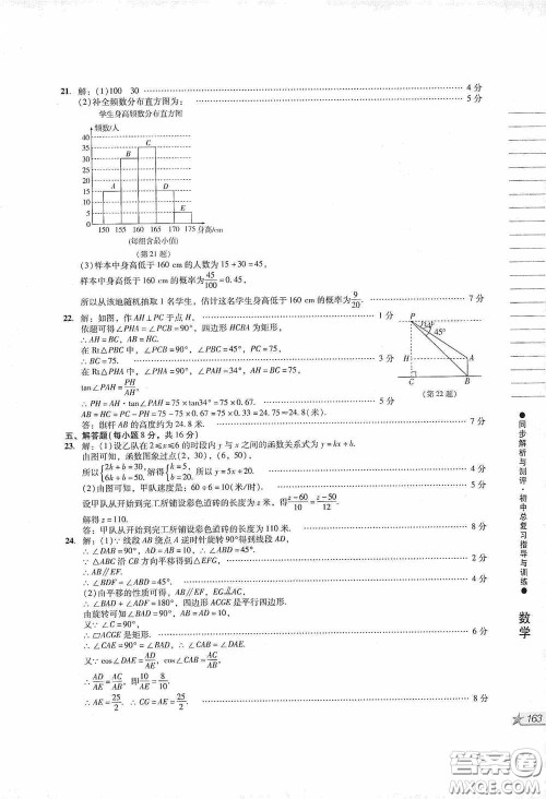 人民教育出版社2020同步解析与测评初中总复习指导与训练数学答案