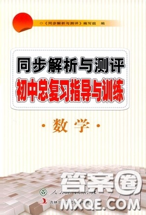 人民教育出版社2020同步解析与测评初中总复习指导与训练数学答案