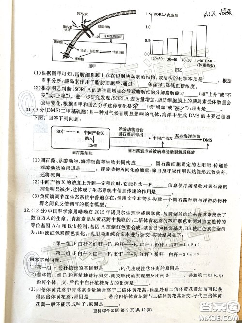 2020年四川九市联考内江广安等高三第二次模拟考试理科综合试题及答案