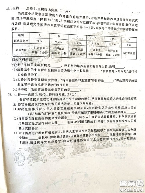 2020年四川九市联考内江广安等高三第二次模拟考试理科综合试题及答案