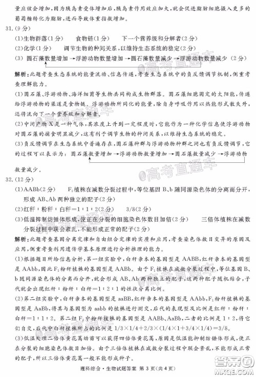 2020年四川九市联考内江广安等高三第二次模拟考试理科综合试题及答案 2020年四川九市联考内江广安等高三第二次模拟考试理科综合试题及答案
