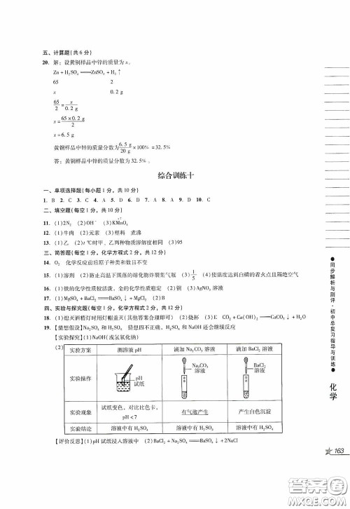 人民教育出版社2020同步解析与测评初中总复习指导与训练物理化学答案