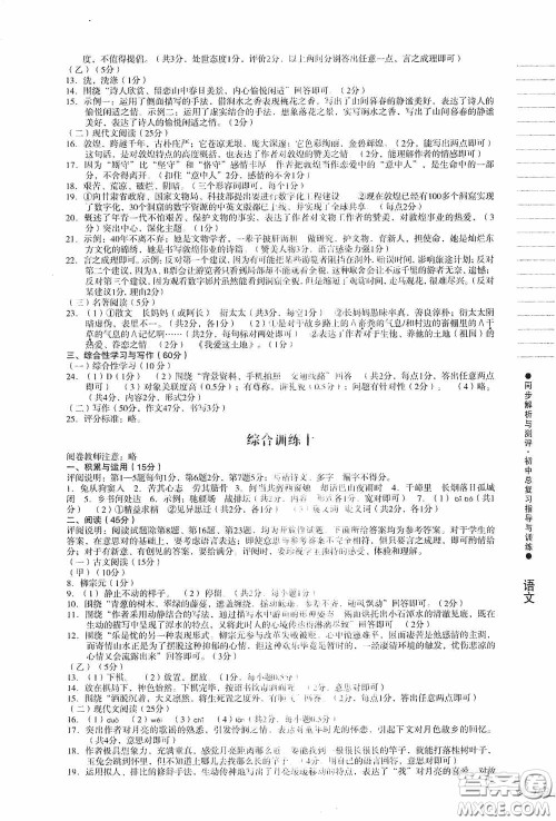 人民教育出版社2020同步解析与测评初中总复习指导与训练语文答案