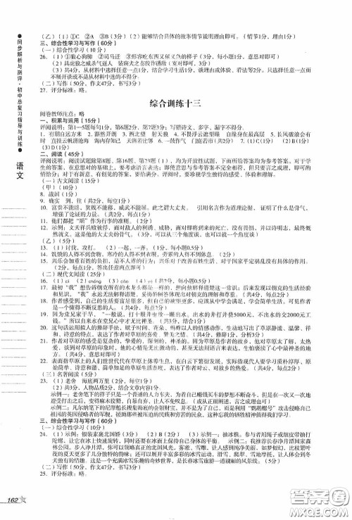 人民教育出版社2020同步解析与测评初中总复习指导与训练语文答案