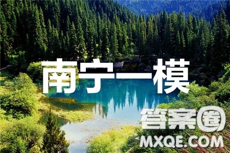 南宁市2020届高中毕业班第一次适应性测试语文试题及答案 南宁市2020届高中毕业班第一次适应性测试语文试题及答案