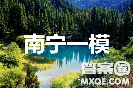 南宁市2020届高中毕业班第一次适应性测试文科数学试题及答案