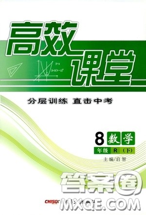 新疆青少年出版社2020高效课堂八年级数学下册人教版答案