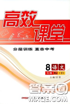 新疆青少年出版社2020高效课堂八年级语文下册人教版答案