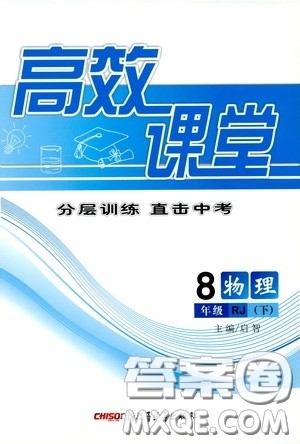 新疆青少年出版社2020高效课堂八年级物理下册人教版答案