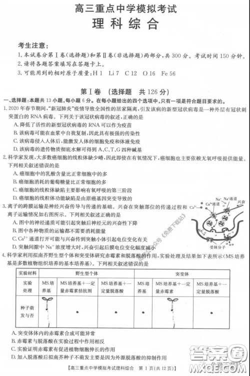 2020年江西金太阳高三重点中学模拟考试理科综合试题及答案