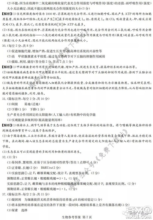 广西2020届高中毕业班第一次适应性测试理科综合试题及答案 广西2020届高中毕业班第一次适应性测试理科综合试题及答案