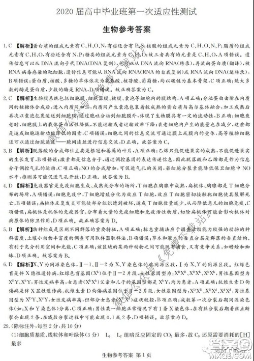 广西2020届高中毕业班第一次适应性测试理科综合试题及答案 广西2020届高中毕业班第一次适应性测试理科综合试题及答案