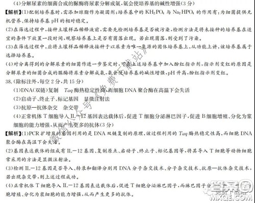 广西2020届高中毕业班第一次适应性测试理科综合试题及答案 广西2020届高中毕业班第一次适应性测试理科综合试题及答案