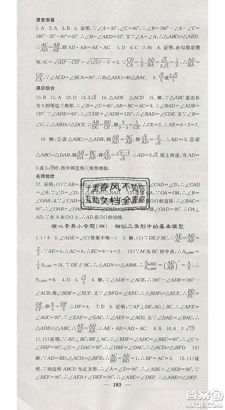 四川大学出版社2020春名校课堂内外九年级数学下册人教版答案
