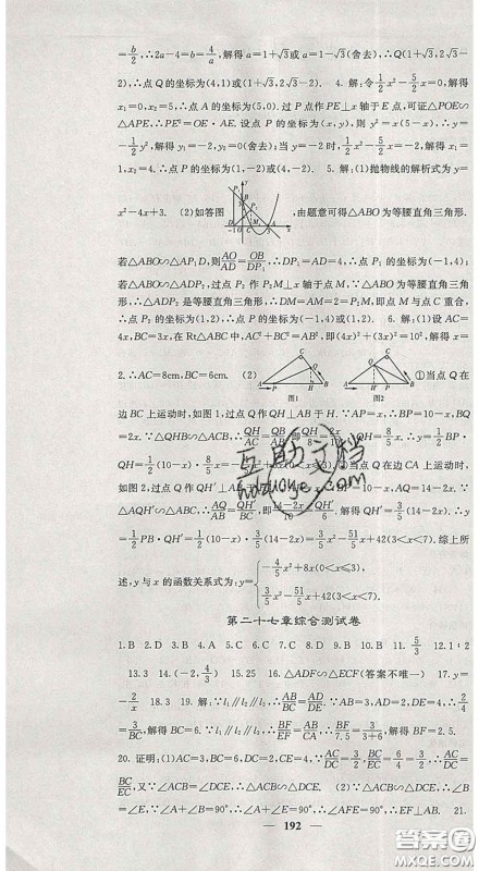 四川大学出版社2020春名校课堂内外九年级数学下册人教版答案